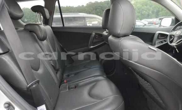 Buy New Toyota RAV4 Silver Car in Lagos in Lagos State Buy New Toyota RAV4 Silver Car in Lagos in Lagos State