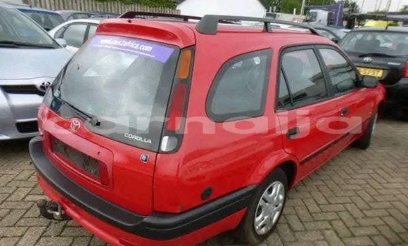 Acheter Occasion Voiture Toyota Corolla Rouge à Abakaliki, État d'Ebonyi Acheter Occasion Voiture Toyota Corolla Rouge à Abakaliki, État d'Ebonyi