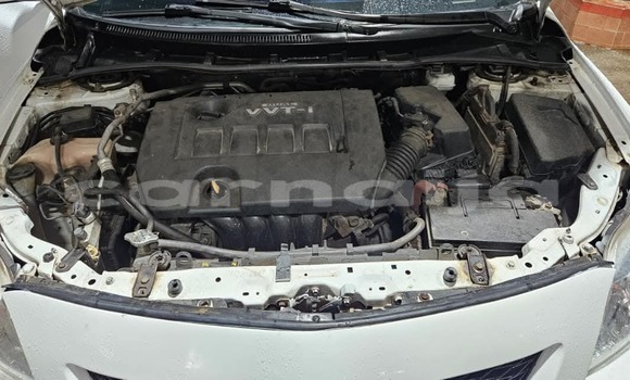 Acheter Occasion Voiture Toyota Corolla Blanc à Ikorodu, État de Lagos Acheter Occasion Voiture Toyota Corolla Blanc à Ikorodu, État de Lagos