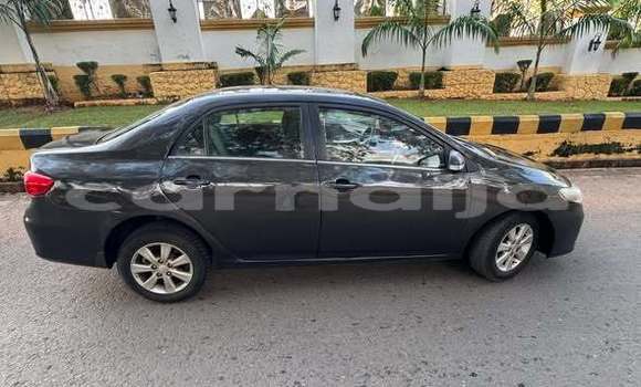 Buy Used Toyota Corolla Other Car in Lagos in Lagos State