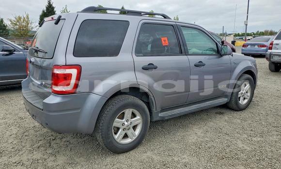 Buy Used Ford Escape Other Car in Badagry in Lagos State Buy Used Ford Escape Other Car in Badagry in Lagos State