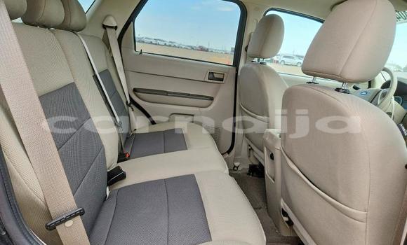 Buy Used Ford Escape Other Car in Badagry in Lagos State Buy Used Ford Escape Other Car in Badagry in Lagos State