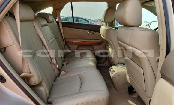Buy Used Lexus RX 350 Brown Car in Badagry in Lagos State Buy Used Lexus RX 350 Brown Car in Badagry in Lagos State