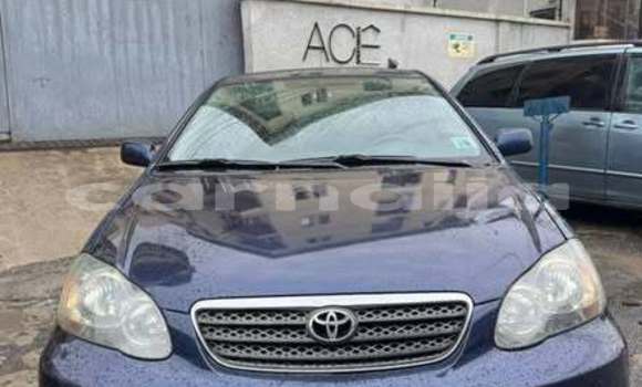 Buy Used Toyota Corolla Other Car in Lagos in Lagos State