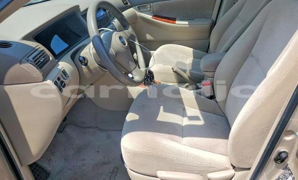Buy Used Toyota Corolla II Brown Car in Lagos in Lagos State Buy Used Toyota Corolla II Brown Car in Lagos in Lagos State