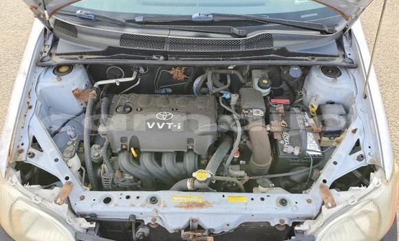 Buy Used Toyota Echo Silver Car in Badagry in Lagos State Buy Used Toyota Echo Silver Car in Badagry in Lagos State