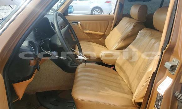 Buy Used Mercedes-Benz 250 Brown Car in Badagry in Lagos State Buy Used Mercedes-Benz 250 Brown Car in Badagry in Lagos State