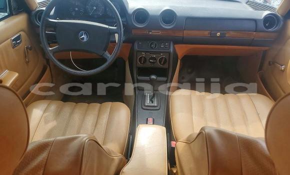 Buy Used Mercedes-Benz 250 Brown Car in Badagry in Lagos State Buy Used Mercedes-Benz 250 Brown Car in Badagry in Lagos State