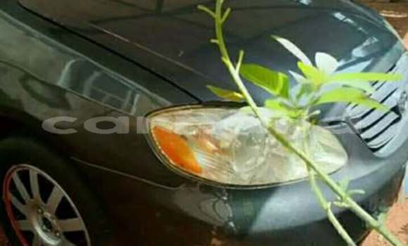 Buy Used Toyota Corolla Other Car in Lagos in Lagos State