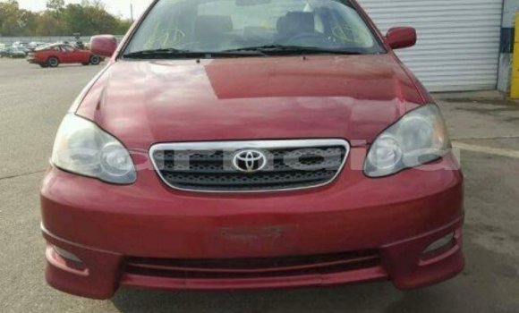 Acheter Import Voiture Toyota Corolla Rouge à Daura, Katsina Acheter Import Voiture Toyota Corolla Rouge à Daura, Katsina