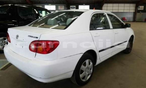 Buy Import Toyota Corolla White Car in Surulere in Lagos State