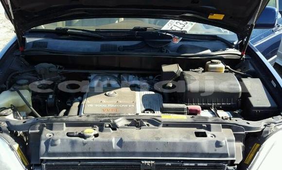 Buy Import Lexus RX 300 Black Car in Daura in Katsina Buy Import Lexus RX 300 Black Car in Daura in Katsina