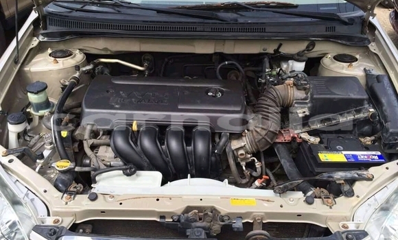 Buy New Toyota Corolla Brown Car in Ikeja in Lagos State Buy New Toyota Corolla Brown Car in Ikeja in Lagos State