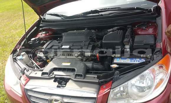 Acheter Import Voiture Hyundai Elantra Rouge à Lagos, État de Lagos Acheter Import Voiture Hyundai Elantra Rouge à Lagos, État de Lagos