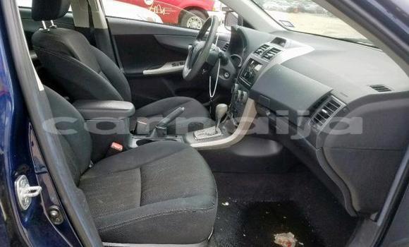 Buy Import Toyota Corolla Blue Car in Import - Dubai in Abia State