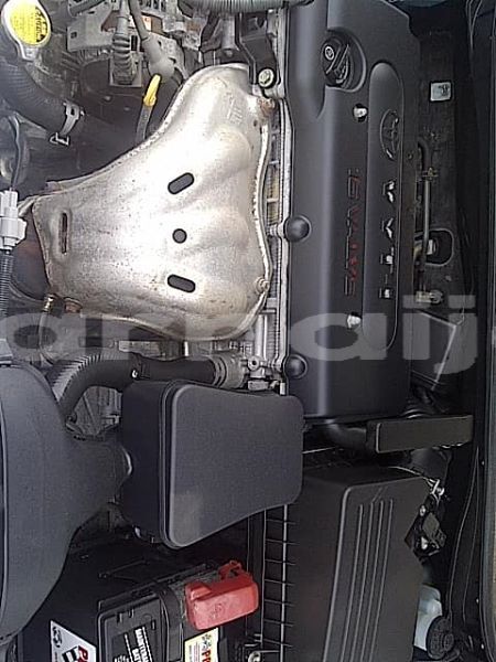 Big with watermark 36709397 208360796668393 5180615326533943296 n