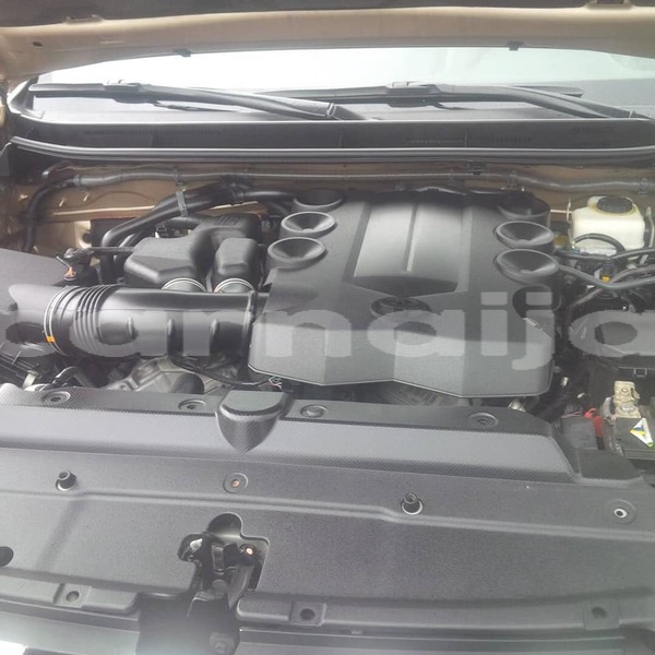 Big with watermark 36628856 207237990114007 5901280743966900224 n