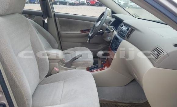 Acheter Occasion Voiture Toyota Corolla Gris à Abeokuta, État d'Ogun Acheter Occasion Voiture Toyota Corolla Gris à Abeokuta, État d'Ogun