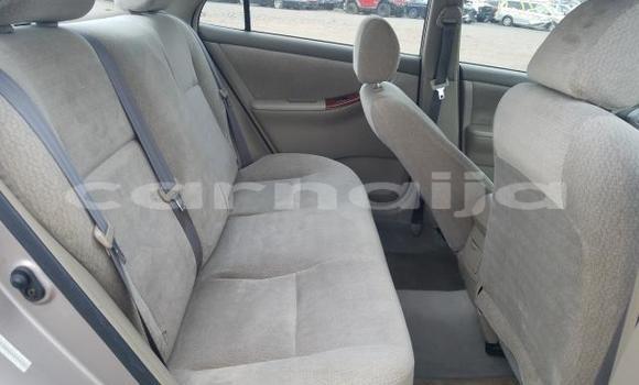 Acheter Occasion Voiture Toyota Corolla Gris à Abeokuta, État d'Ogun Acheter Occasion Voiture Toyota Corolla Gris à Abeokuta, État d'Ogun