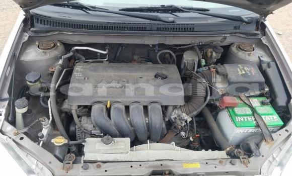 Acheter Occasion Voiture Toyota Corolla Gris à Abeokuta, État d'Ogun Acheter Occasion Voiture Toyota Corolla Gris à Abeokuta, État d'Ogun