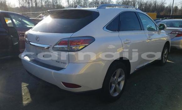 Buy New Lexus RX 350 White Car in Abuja in Lagos State Buy New Lexus RX 350 White Car in Abuja in Lagos State