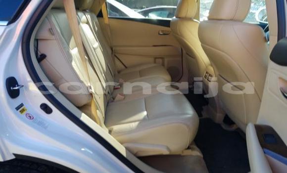 Acheter Neuf Voiture Lexus RX 350 Blanc à Abuja, État de Lagos Acheter Neuf Voiture Lexus RX 350 Blanc à Abuja, État de Lagos