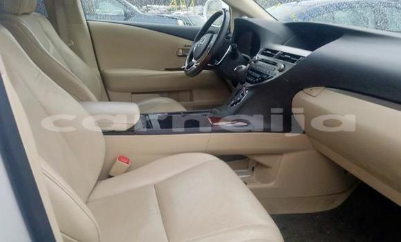 Acheter Neuf Voiture Lexus RX 350 Blanc à Abuja, État de Lagos Acheter Neuf Voiture Lexus RX 350 Blanc à Abuja, État de Lagos