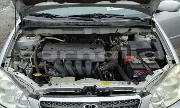 Buy Used Toyota Corolla Blue Car in Lagos in Lagos State Buy Used Toyota Corolla Blue Car in Lagos in Lagos State