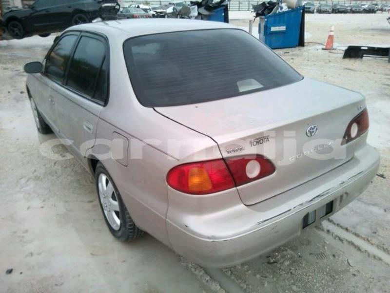 Big with watermark 606bd36e fc5a 42c3 afc8 6c7d74b566f5