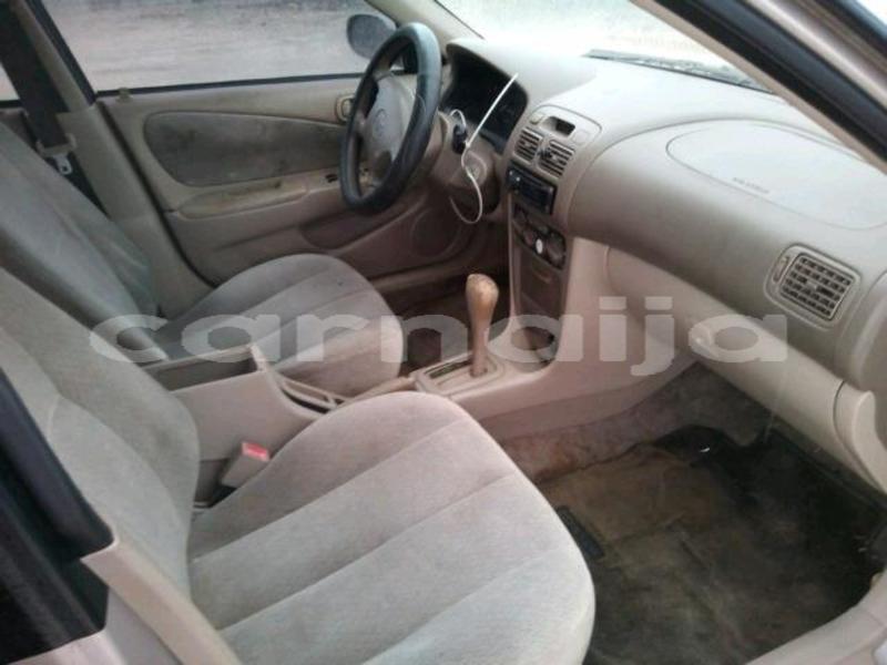 Big with watermark f9fbaf73 927f 407b b559 581fd85e3910