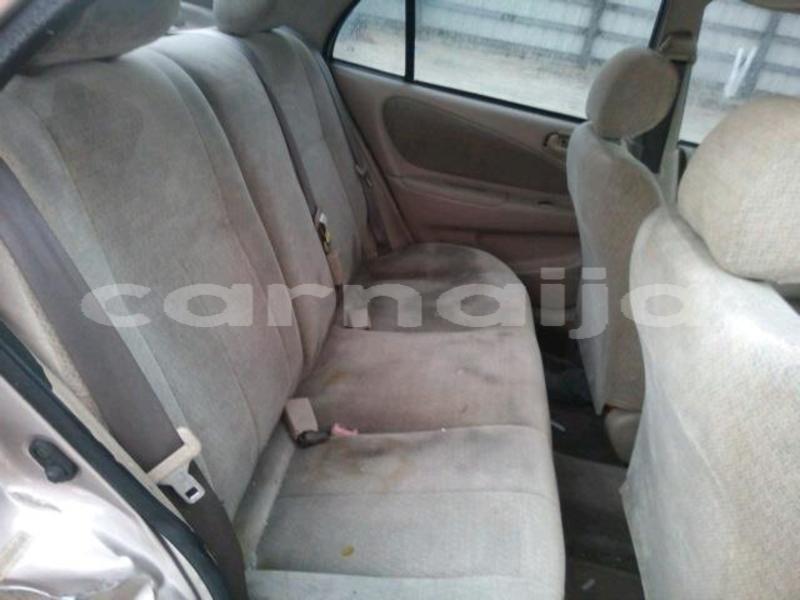 Big with watermark 8893959a 8ebb 4f8a 9903 254fe1156960