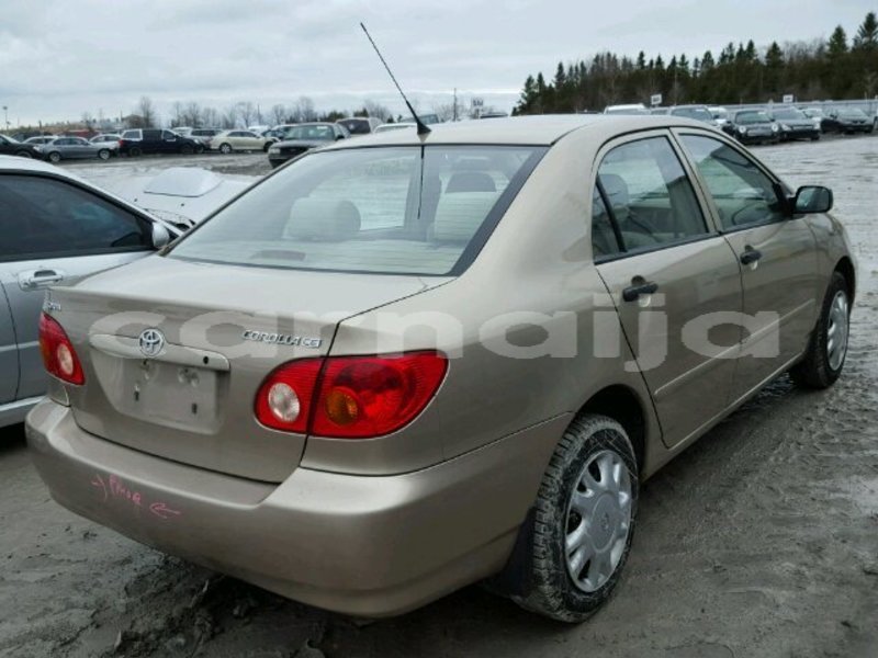 Big with watermark b3c9d836 ee15 4caa bf71 3e66a8e58e2c