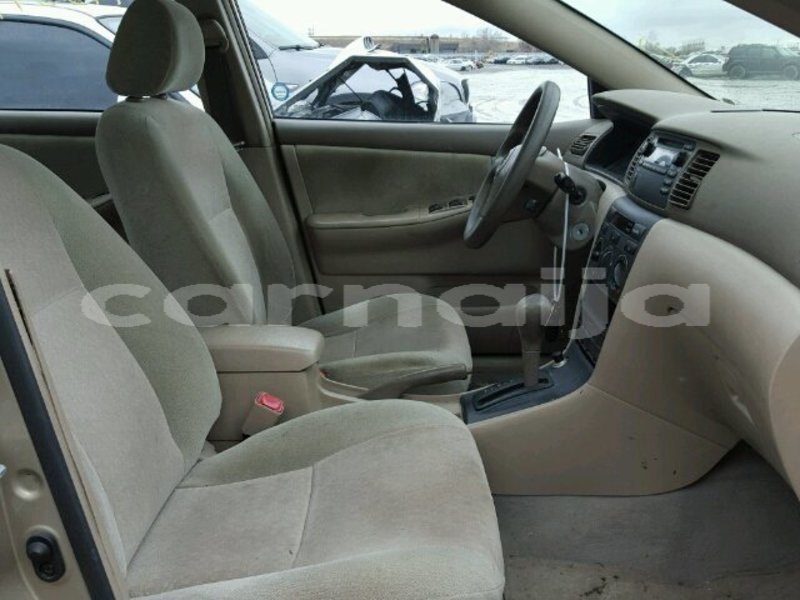 Big with watermark 6e2c70f5 a538 4d25 b0bd 675dccbd8726