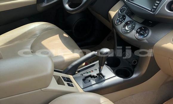 Buy New Toyota RAV4 Black Car in Anambra in Anambra Buy New Toyota RAV4 Black Car in Anambra in Anambra