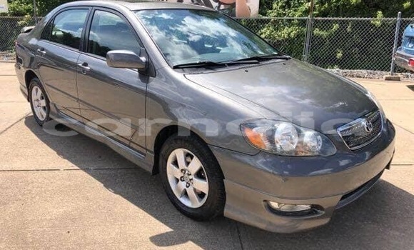 Buy New Toyota Corolla Black Car in Abuja in Lagos State