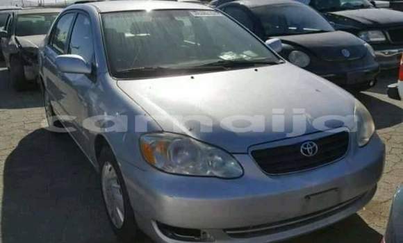 Buy New Toyota Corolla Silver Car in Lagos in Lagos State