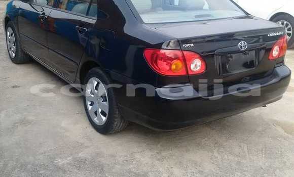 Acheter Neuf Voiture Toyota Corolla Noir à Ipokia, État d'Ogun Acheter Neuf Voiture Toyota Corolla Noir à Ipokia, État d'Ogun