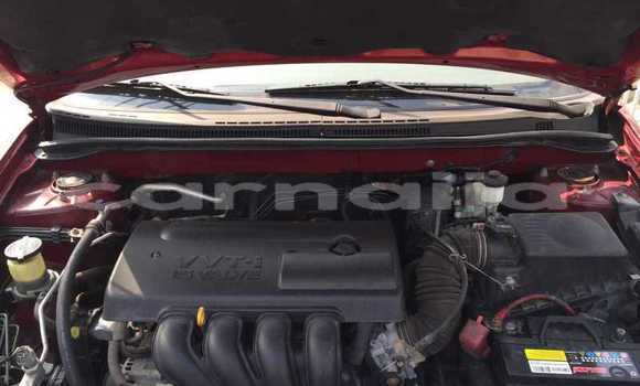 Buy New Toyota Corolla Red Car in Ipokia in Ogun State Buy New Toyota Corolla Red Car in Ipokia in Ogun State