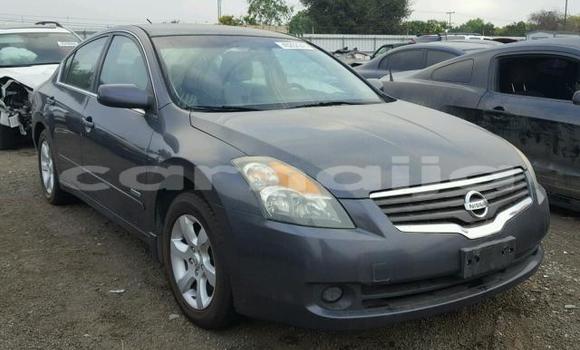 Buy Import Nissan Altima Other Car in Lagos in Lagos State