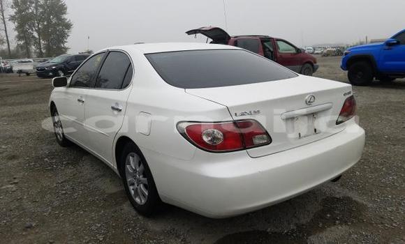 Acheter Neuf Voiture Lexus ES 300 Blanc à Badagry, État de Lagos Acheter Neuf Voiture Lexus ES 300 Blanc à Badagry, État de Lagos