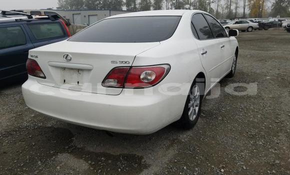 Acheter Neuf Voiture Lexus ES 300 Blanc à Badagry, État de Lagos Acheter Neuf Voiture Lexus ES 300 Blanc à Badagry, État de Lagos