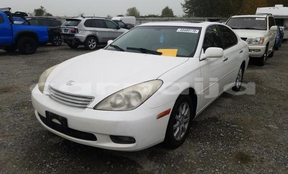 Acheter Neuf Voiture Lexus ES 300 Blanc à Badagry, État de Lagos Acheter Neuf Voiture Lexus ES 300 Blanc à Badagry, État de Lagos