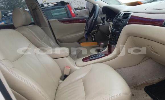 Acheter Neuf Voiture Lexus ES 300 Blanc à Badagry, État de Lagos Acheter Neuf Voiture Lexus ES 300 Blanc à Badagry, État de Lagos
