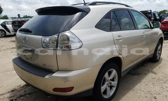 Buy New Lexus RX 350 Silver Car in Badagry in Lagos State Buy New Lexus RX 350 Silver Car in Badagry in Lagos State