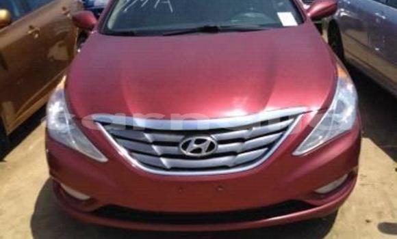 Buy Used Hyundai Elantra Red Car in Enugu in Enugu State