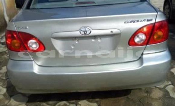 Acheter Occasion Voiture Toyota Corolla Gris à Enugu, État d'Enugu Acheter Occasion Voiture Toyota Corolla Gris à Enugu, État d'Enugu