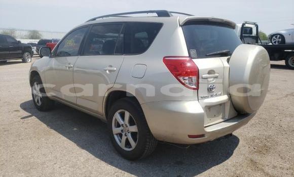 Buy New Toyota RAV4 Beige Car in Lagos in Lagos State Buy New Toyota RAV4 Beige Car in Lagos in Lagos State