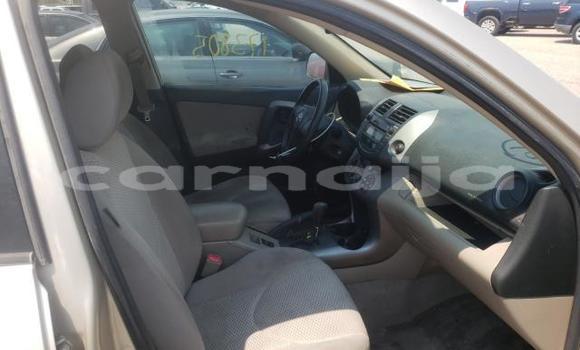 Buy New Toyota RAV4 Beige Car in Lagos in Lagos State Buy New Toyota RAV4 Beige Car in Lagos in Lagos State