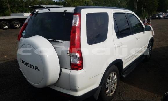 Buy New Honda CR–V White Car in Badagry in Lagos State Buy New Honda CR–V White Car in Badagry in Lagos State