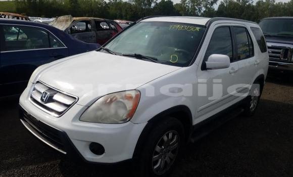 Buy New Honda CR–V White Car in Badagry in Lagos State Buy New Honda CR–V White Car in Badagry in Lagos State
